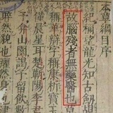 富贵竹
