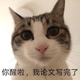 橘子小姐姐