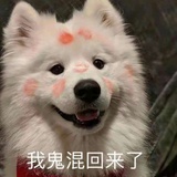 怎么会这样