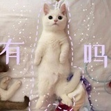 扑通