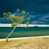 luoluo