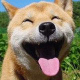 小怪兽