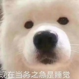 从今若许