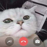 一一