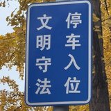 Abcde中选了s
