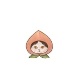 注销啦
