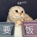 天天