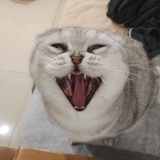 我是恶霸