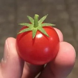 8888