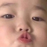 胖在路上