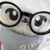 李李李