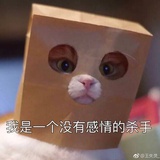 桃子哒哒