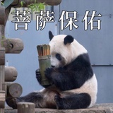 璟怀珏