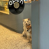瓜瓜