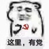 偷李泽言的黑卡