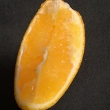 膏泽
