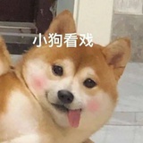 番茄炒棉花糖