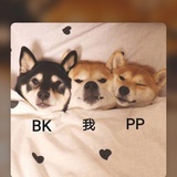 三三桑