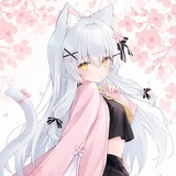 从Asuka到Rei
