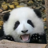 尼龙线