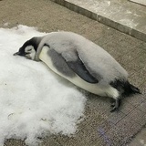 墨衣