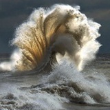 骑浪农场