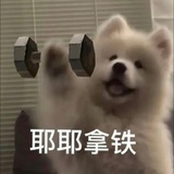 柚子酸不酸