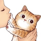 今天也没有猫