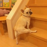 你啊你