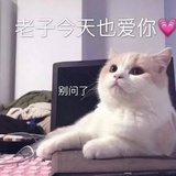 今天吃什么
