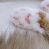 不能再买了