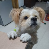 藤原拓威