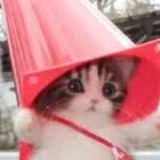 _本色创意