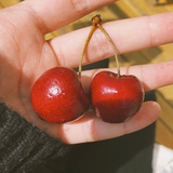 小小疙瘩