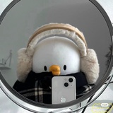 Cd冷却中