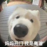去你的垃圾