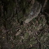 已 注销