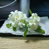 海风遇上头痛