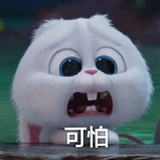 一辈子不吃🍵