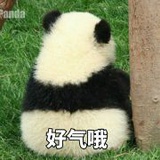 羊羊8