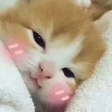 三人行