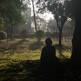 myblacksoil