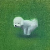 逗宝吗