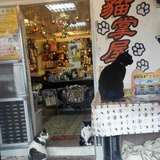 钝刀