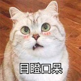 可乐猫咪