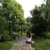 EliseShi