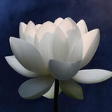月召南