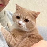 楽色