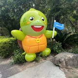 小灰灰