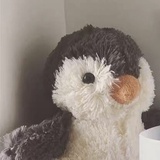 注一一